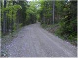 Bitenjska planina - Ribčeva planina